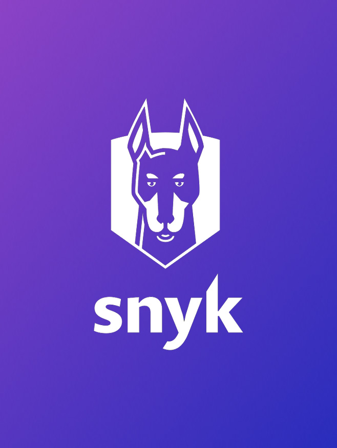 Snyk developer reports